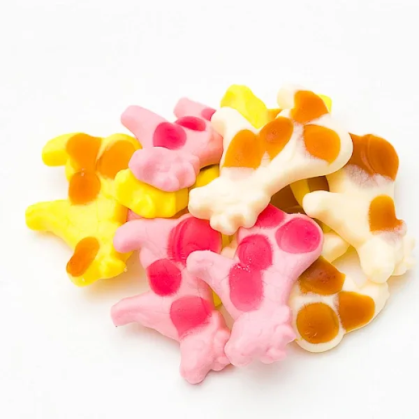 Koetjes 600x600