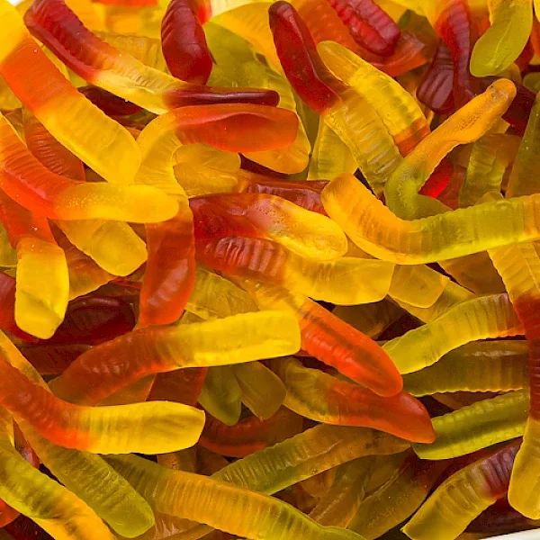 Twiggle worm 600x600